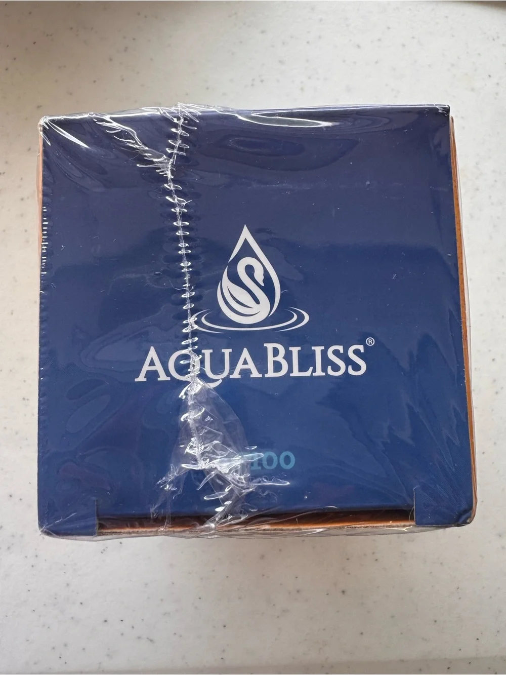 Polished Silver Shower Filter - Chlorine Reduction